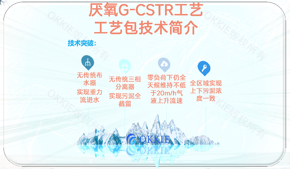 革新型氣混式厭氧工藝包